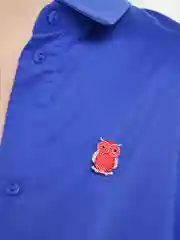 Красный брошь на булавке Сова