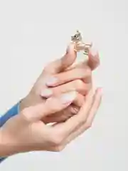 Брошь "Собака, Кошка, Божья коровка, Дельфин со стразами, брошь врача, Балерина, Мишки"