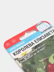 Семена Земляника "Королева Елизавета" набор 1, 3, 5 уп