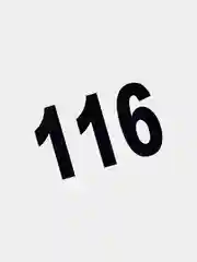 Наклейка "регион 116"