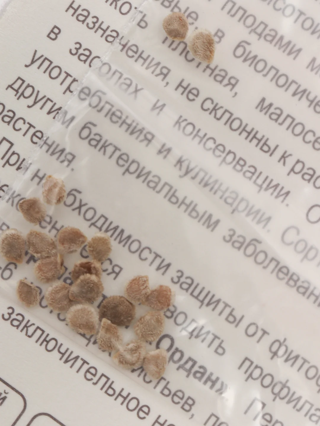 Семена Томат "33 поросенка" набор 1, 3, 5 уп