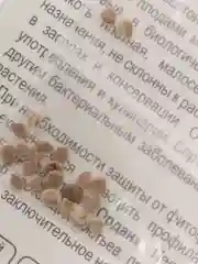 Семена Томат "33 поросенка" набор 1, 3, 5 уп