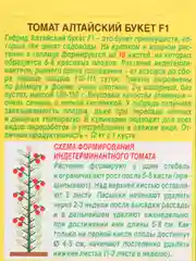 Семена Томат "Алтайский букет" набор 1, 3, 5 уп