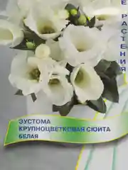 Семена Эустома крупноцветковая "Сюита", белая, набор 1-5 упаковок