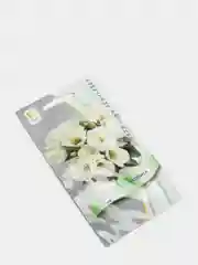 Семена Эустома крупноцветковая "Сюита", белая, набор 1-5 упаковок