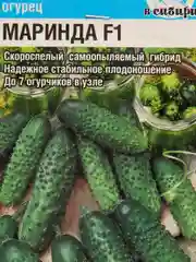 Семена Огурец "Маринда F1" набор 1, 3, 5 уп