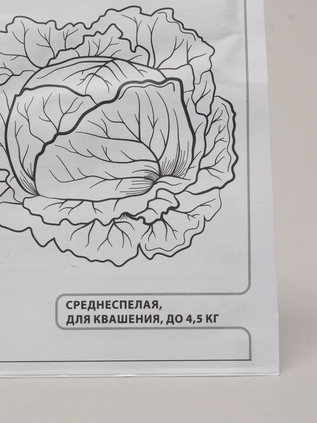 Семена Капуста белокочанная "Слава 1305" набор 1, 5, 10 уп