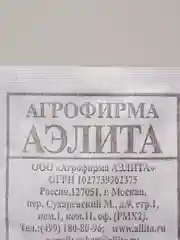 Семена Свекла столовая "Египетская плоская" набор 1, 5, 10 уп