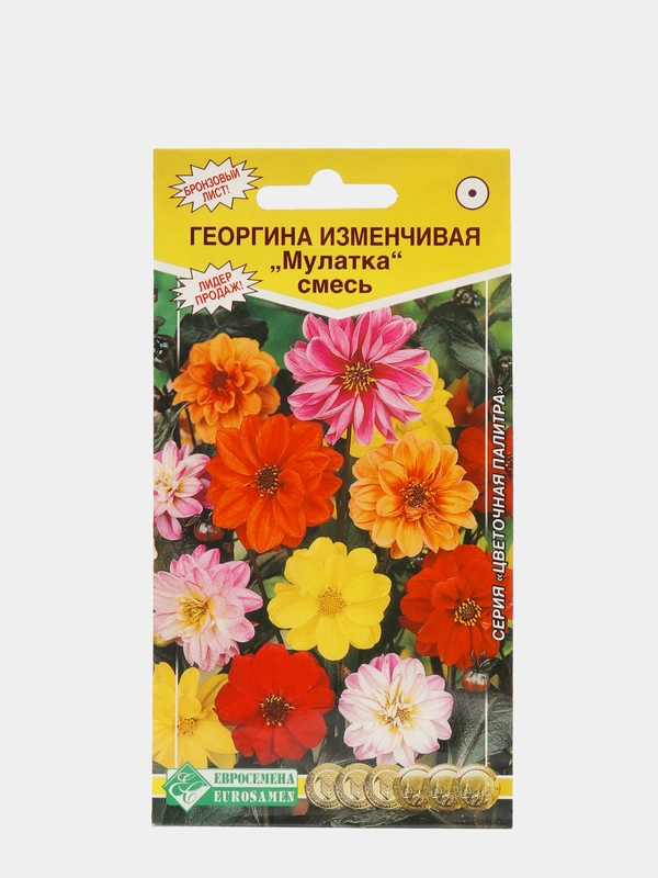 Георгина изменчивая "Мулатка", смесь, семена цветов