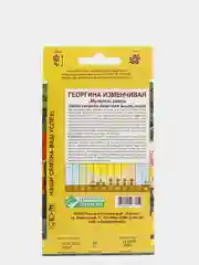 Георгина изменчивая "Мулатка", смесь, семена цветов
