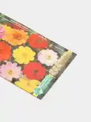 Георгина изменчивая "Мулатка", смесь, семена цветов
