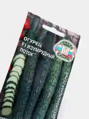 Огурец "Изумрудный поток", семена