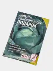 Зеленый семена Капуста белокочанная "Подарок"