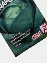 Зеленый семена Капуста белокочанная "Подарок"