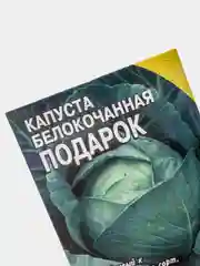 Зеленый семена Капуста белокочанная "Подарок"