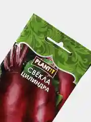 Семена Свекла "Цилиндра" набор 1, 3, 5 уп