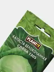 Семена Капуста белокочанная "Слава 1305" набор 1, 3, 5 уп