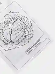 Семена Капуста белокочанная ранняя "Июньская" набор 1, 5, 10 уп