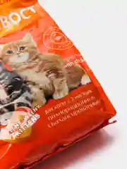 Корм сухой для котят PROХВОСТ, с цыпленком, 350 г