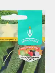 Огурец Архип F1 0,3г / Евро - семена