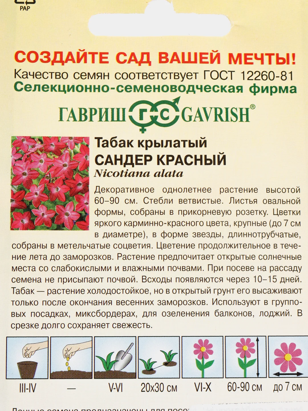 Семена Табак крылатый  Сандер красный  набор 1, 3, 5 уп
