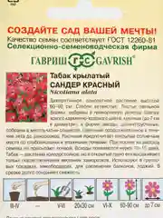 Семена Табак крылатый  Сандер красный  набор 1, 3, 5 уп