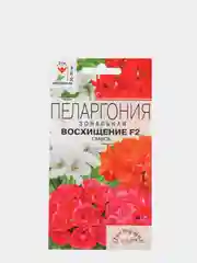Семена Пеларгония зональная смесь "Восхищение F2" набор 1, 3, 5 уп