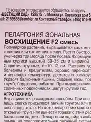 Семена Пеларгония зональная смесь "Восхищение F2" набор 1, 3, 5 уп