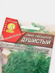 Семена Тмин овощной  Душистый  набор 1, 3, 5 уп