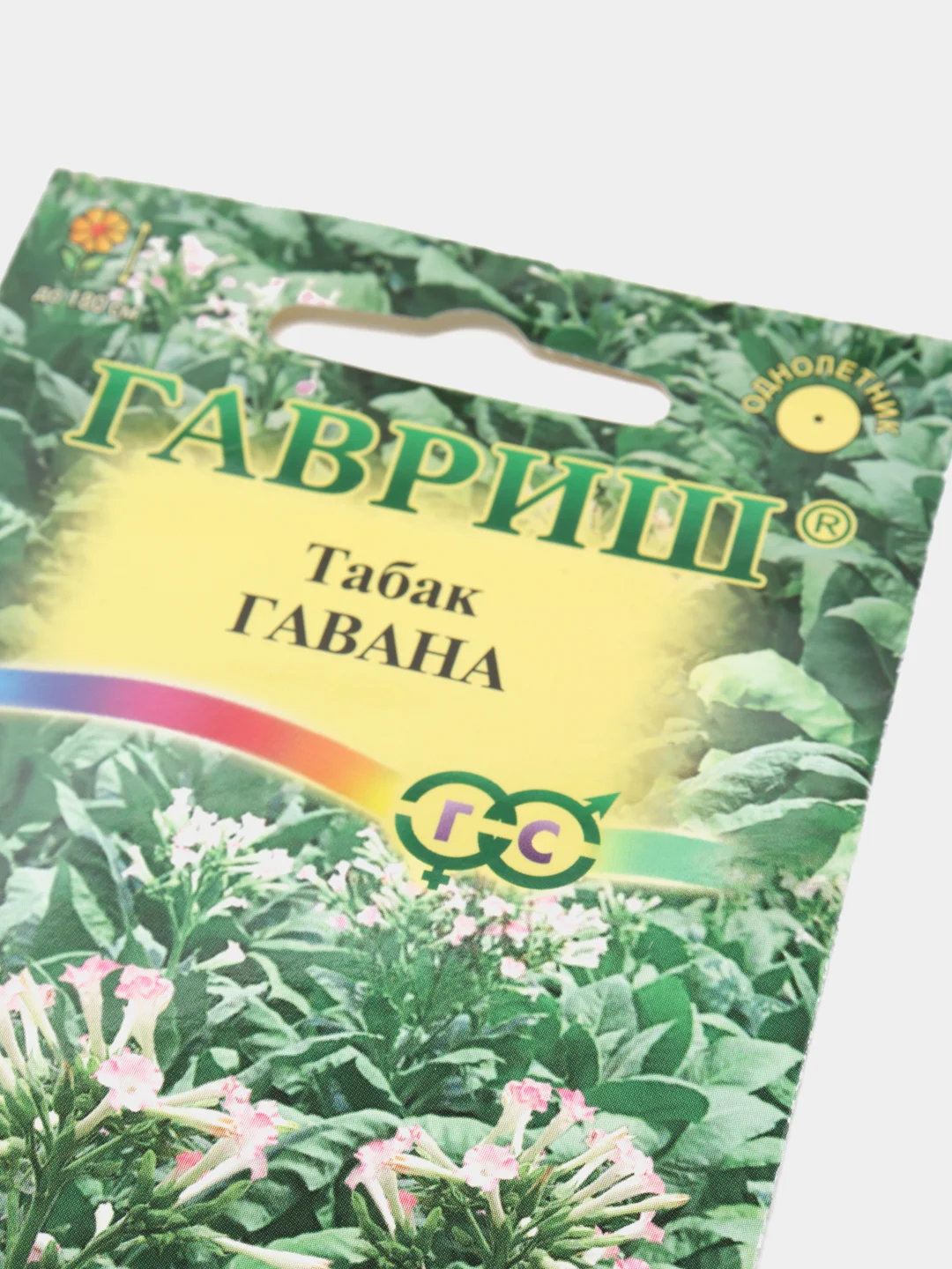 Семена Табак курительный "Гавана"