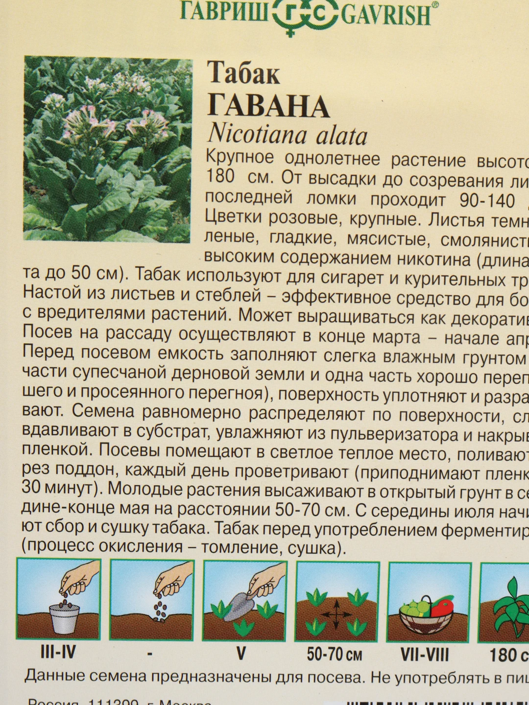 Семена Табак курительный "Гавана"