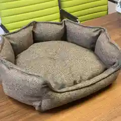 Коричневый лежанка для собак и кошек "Luxe", 2 цвета