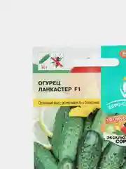 Огурец Ланкастер F1 0,25г / Евро - семена