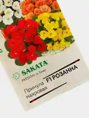 Семена Примула махровая "Розанна" набор 1, 3, 5 уп