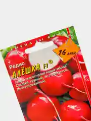 Редис Алешка, семена