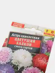 Астра Цветущий балкон, смесь сортов, семена(Аэлита)