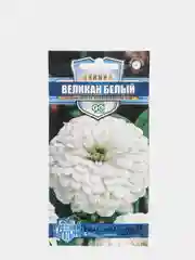 Цинния Великан белый (семена,цветы)