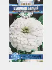 Цинния Великан белый (семена,цветы)