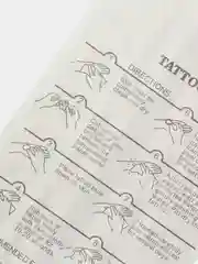 Пастельно-коралловый временные татуировки Flash Tattoo