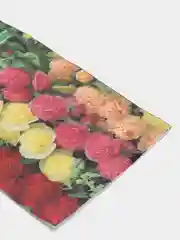 Мальва Гирлянда, семена, цветы