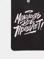 Коричневый ароматизатор воздуха для автомобиля, в машину