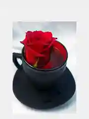 Алмазная мозаика "Кружка с розой" 30*40 см без подрамника