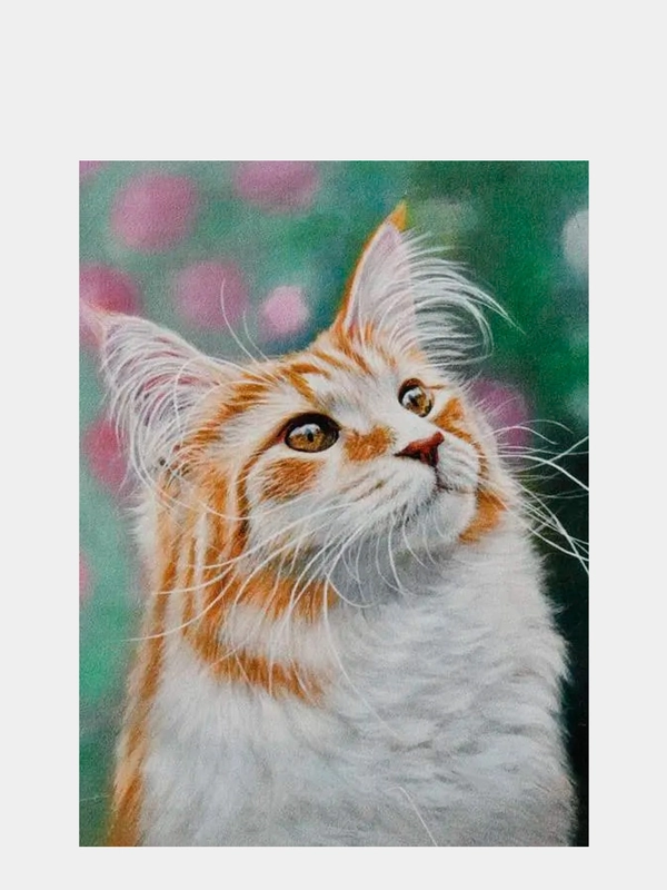 Алмазная мозаика Рыжий кот, 30х40 см, Cristyle