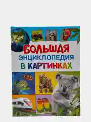 Большая энциклопедия в картинках
