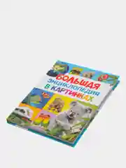 Большая энциклопедия в картинках