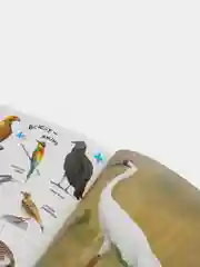 Большая энциклопедия в картинках