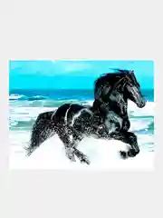 Черный алмазная мозаика без подрамника 30*40 см