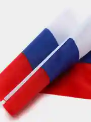 Флаг России 30 х 45 см, шток 60 см, полиэстер