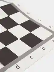 Нарды и Шашки