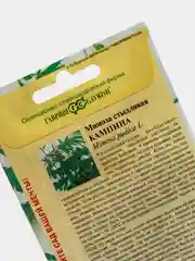 Мимоза стыдливая Кампина, семена, цветы